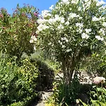 בית נופש Casa Rio Zezere