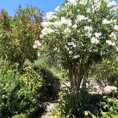 Vakantiehuis Casa Rio Zezere