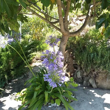 Casa Rio Zezere Vakantiehuis Pedrógão Pequeno