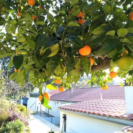 Casa Rio Zezere * Pedrogao Pequeno