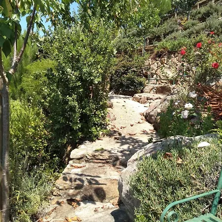 Casa Rio Zezere 別荘 Pedrógão Pequeno