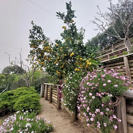 Casa Rio Zezere 別荘