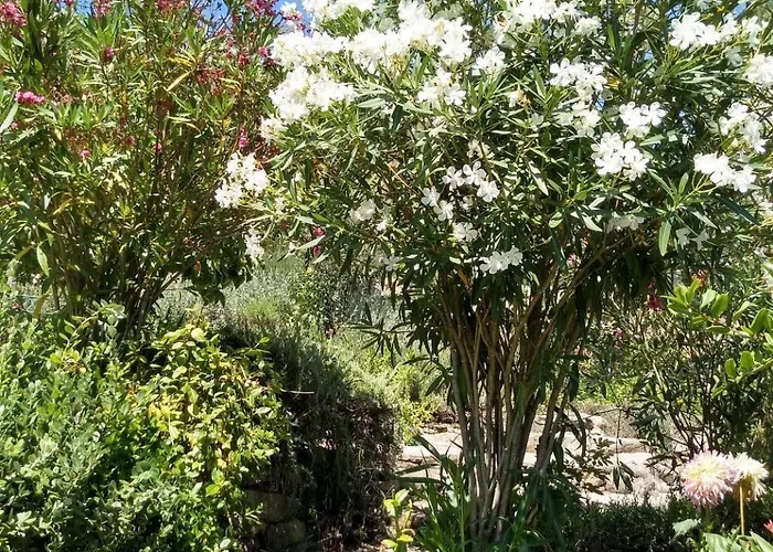 펜션 Casa Rio Zezere