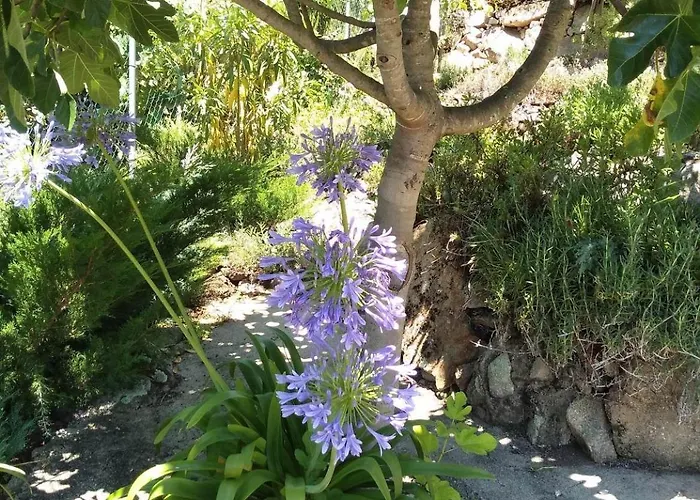 Casa Rio Zezere 펜션 Pedrógão Pequeno
