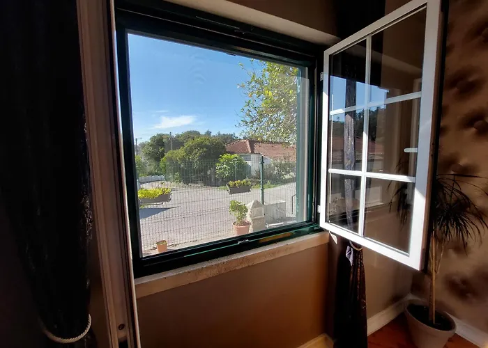 Casa Rio Zezere 펜션 Pedrógão Pequeno