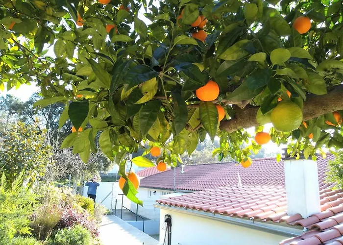 Casa Rio Zêzere * Pedrógão Pequeno