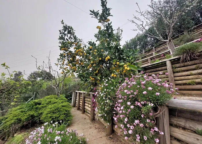 Casa Rio Zezere 펜션