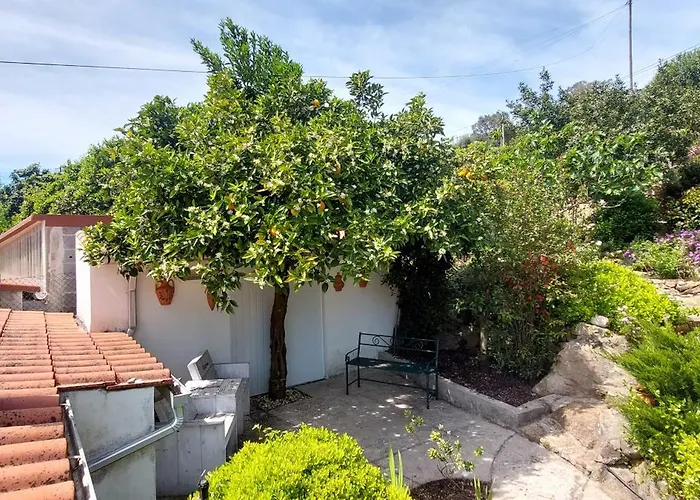 Hébergement de vacances Casa Rio Zêzere *